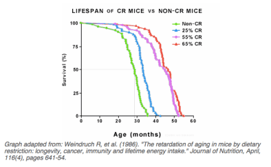 Screen Shot 2016-02-20 at 1.24.28 PM.png