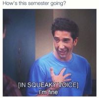 12993520_545709718944195_6669954929821747069_n